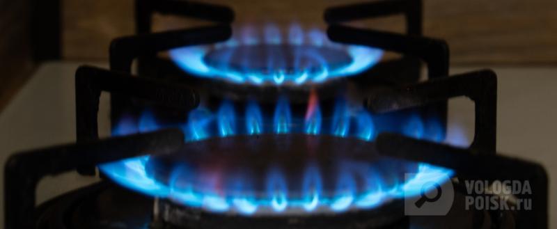 Фото: Вологда-поиск