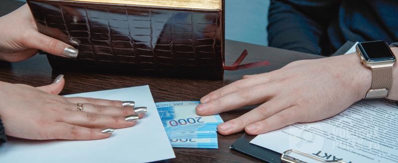 Фото: Вологда-поиск