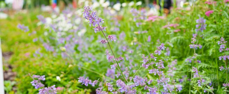 Фото: Вологда-поиск