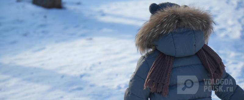 Фото: Вологда-поиск