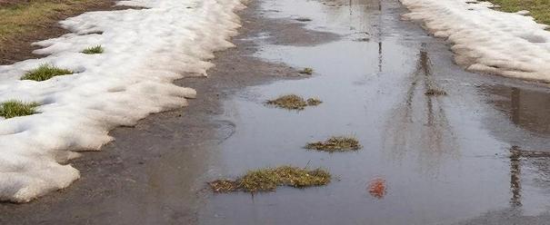 изображение сгенерировано ИИ 