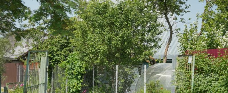 Вологда-поиск