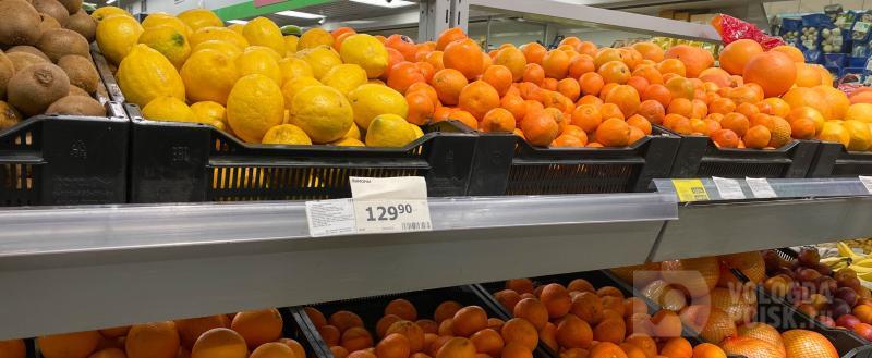 Фото: Вологда-поиск