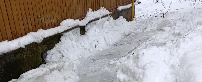 Фото портала 