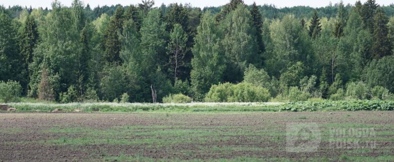 фото: Вологда-поиск