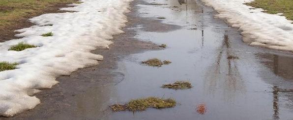 изображение сгенерировано ИИ 