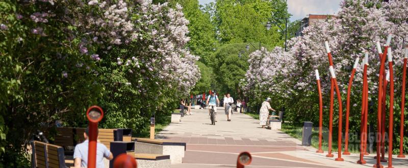 Фото: Вологда-поиск