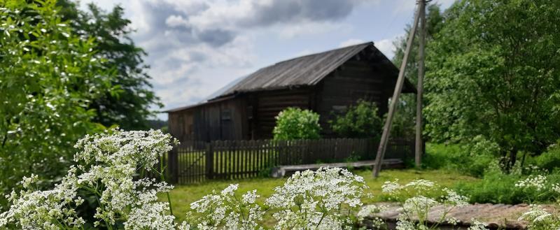 Фото портала 