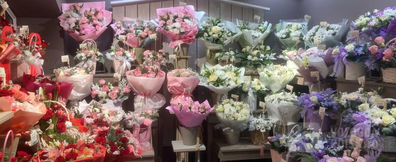 Вологда-поиск