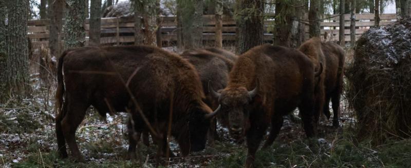 пресс-службы правительства Вологодской области