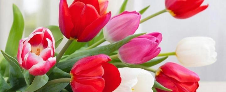 изображение сгенерировано ИИ 