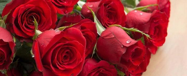 изображение сгенерировано ИИ 