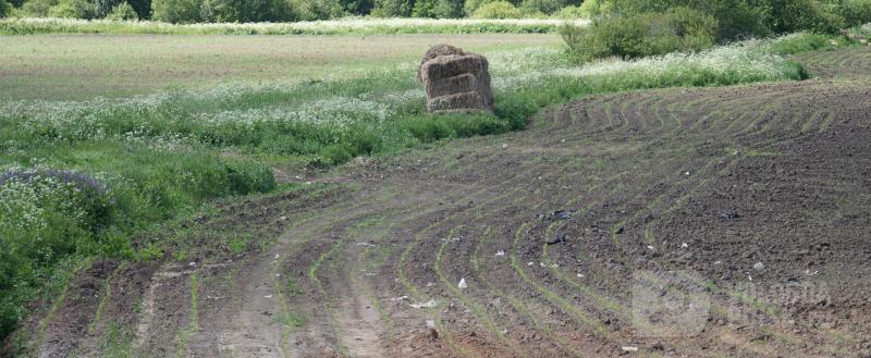 Вологда-Поиск