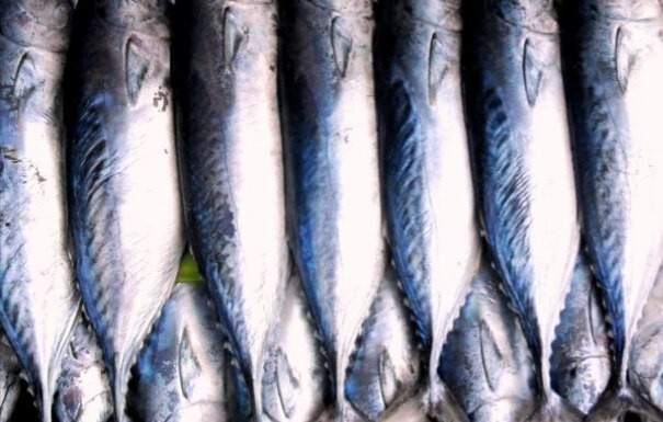 Фото: pxhere.com