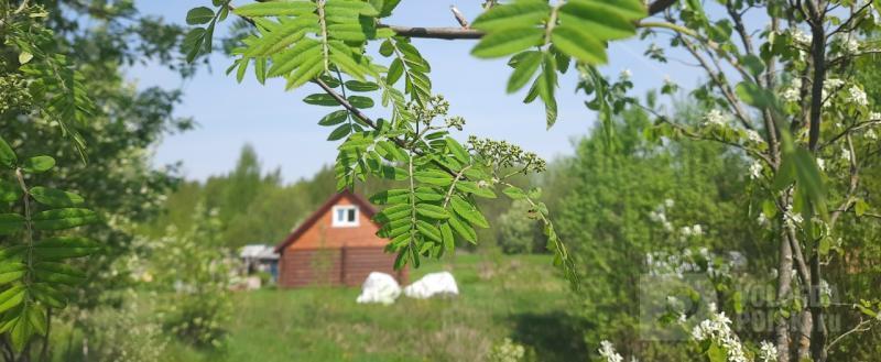 Вологда-поиск