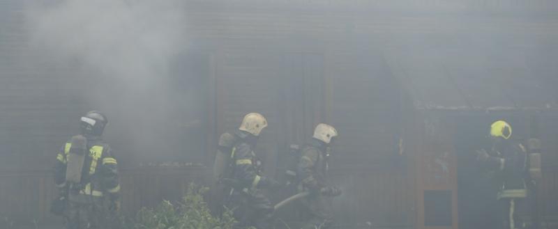 Никита Трушков, Vologda-Poisk.ru