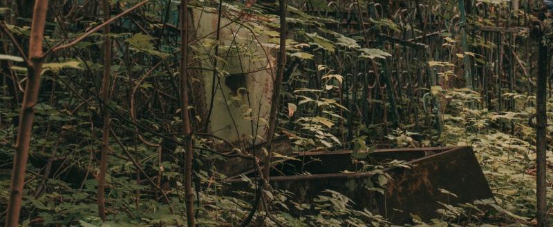 Тимур Бойков, Vologda-poisk.ru