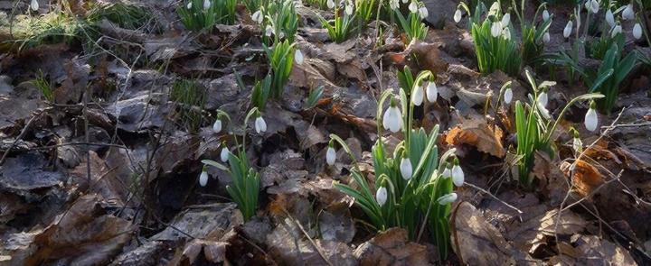 изображение сгенерировано ИИ 