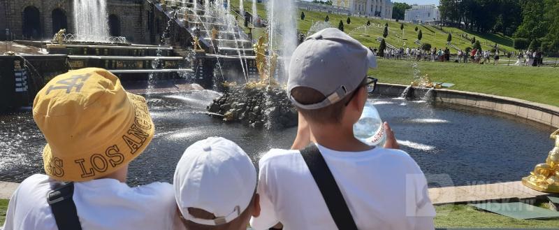 Вологда-поиск