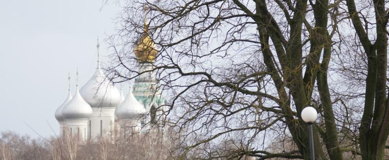Тимур Бойков, Vologda-poisk.ru