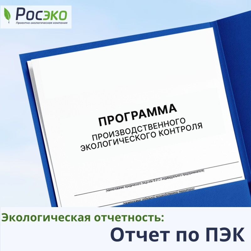 Отчёт по программе ПЭК