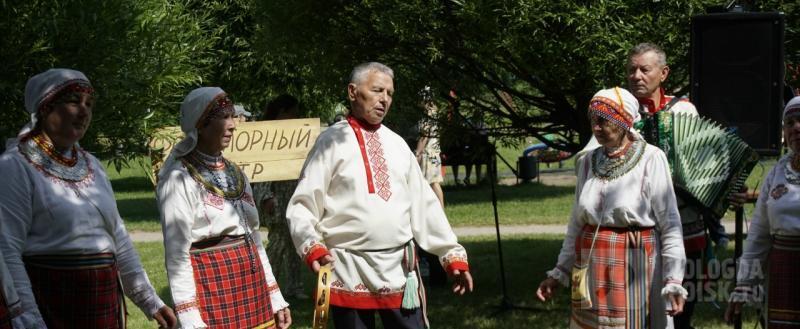 Вологда-поиск