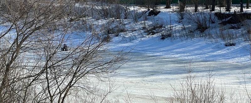 Фото Тимура Бойкова/Вологда-Поиск