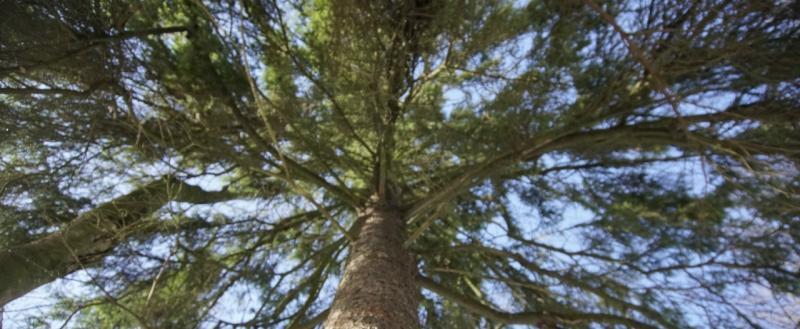 Никита Трушков, Vologda-Poisk.ru