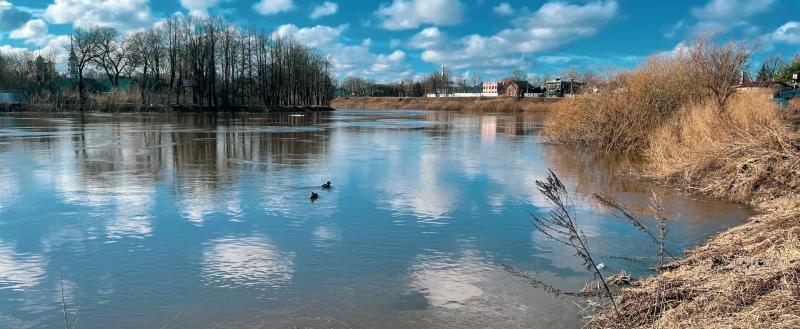 Тимура Бойкова/