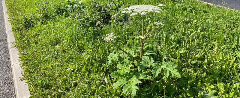 Тимура Бойкова/