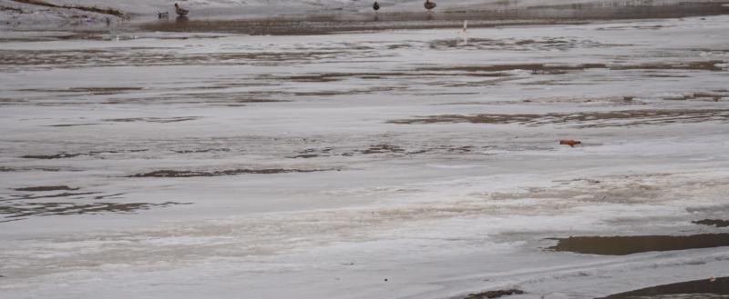 Тимура Бойкова/