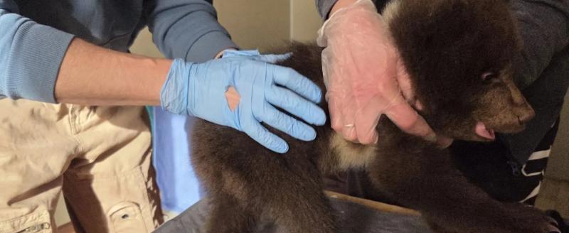 Фото паблика 