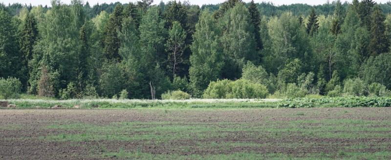 Фото Тимура Бойкова/Вологда-Поиск