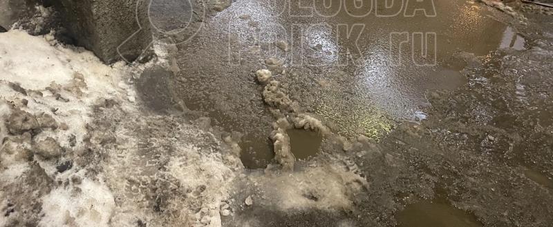 Тимура Бойкова/