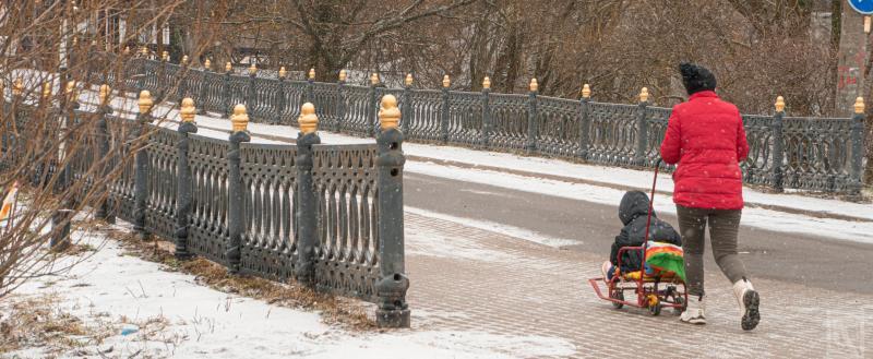 Фото Тимура Бойкова/Вологда-Поиск
