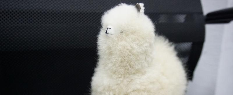 Фото Никиты Трушкова/