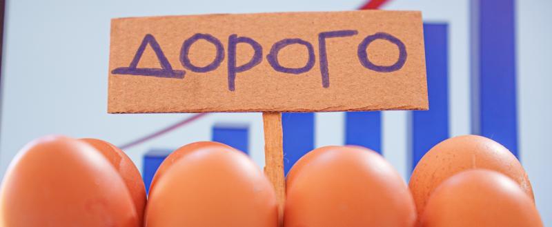 Вологда-Поиск