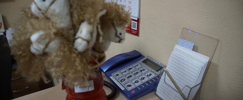 Фото Никиты Трушкова/