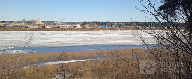 Фото: Вологда-поиск