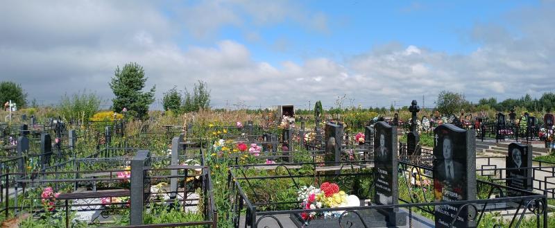 Никита Трушков / Вологда-Поиск