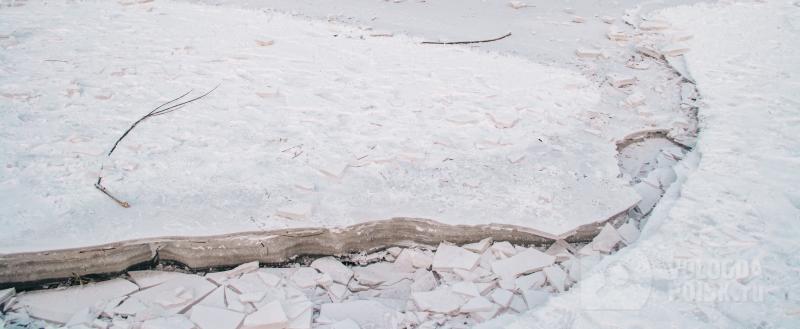 Тимур Бойков / Вологда-Поиск