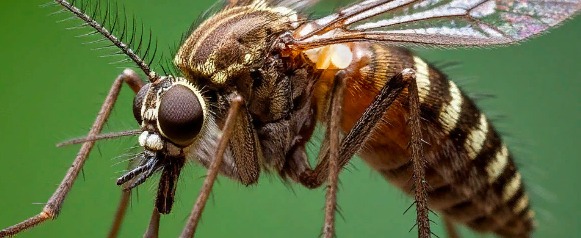 сгенерировано нейросетью Шедеврум