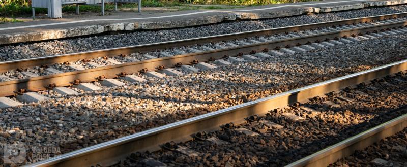 Вологда-поиск