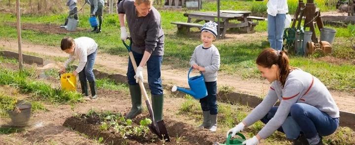 изображение сгенерировано ИИ 