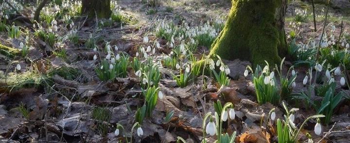 изображение сгенерировано ИИ 
