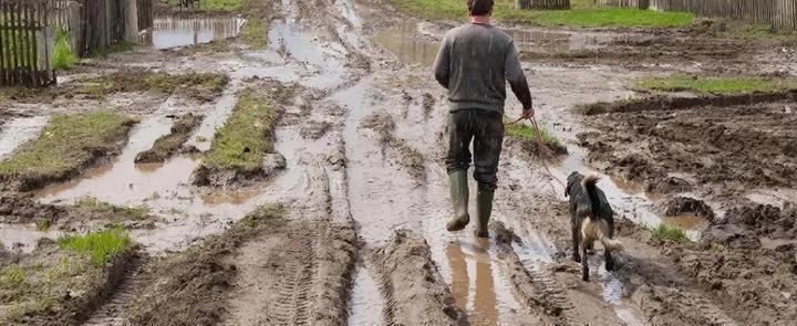 изображение сгенерировано ИИ 