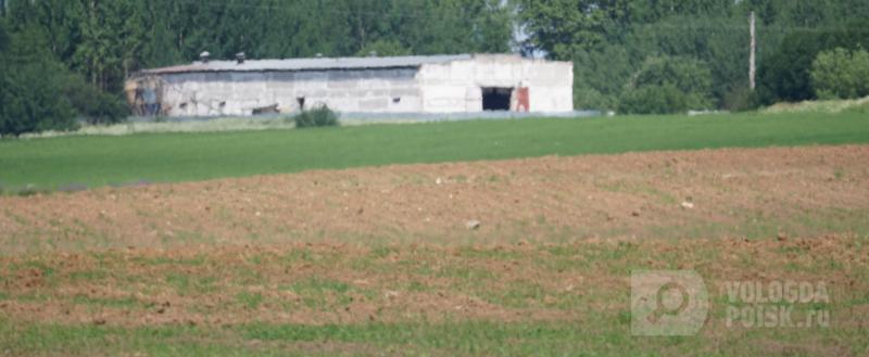 Фото Тимура Бойкова. Вологда-поиск