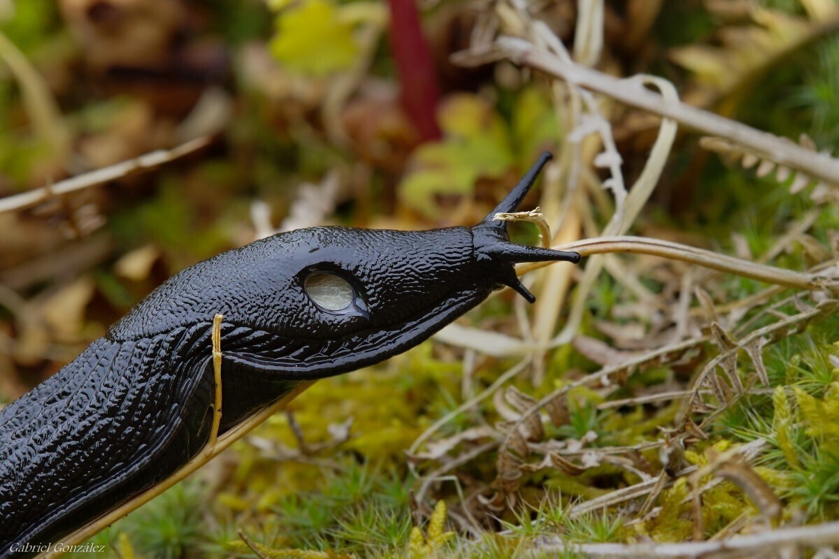 Фото: pxhere.com