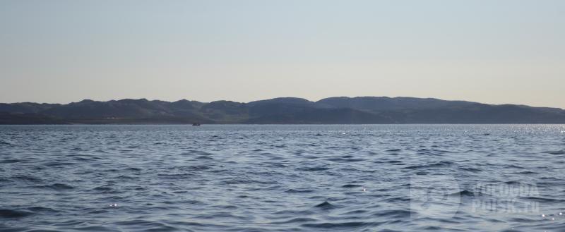 фото: Вологда-поиск