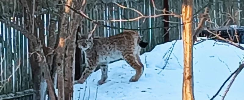 Группа ВК «Череповец Best»